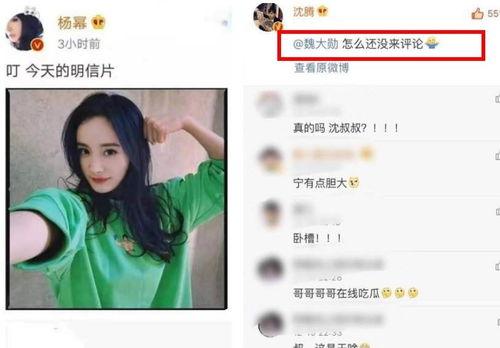 网红吃天价瓜名场面,名场面引网友热议